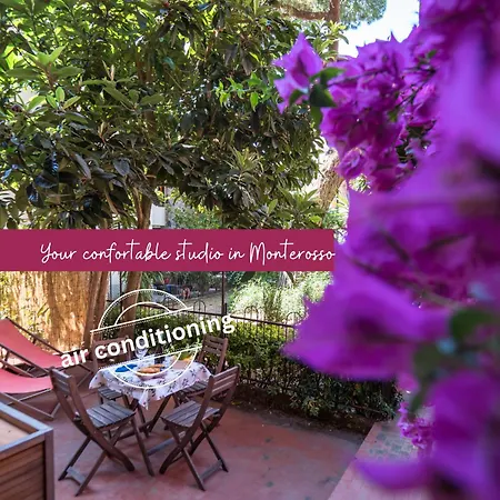 Il Giardino Di Ada Ground Floor With Ac And Patio Monterosso al Mare