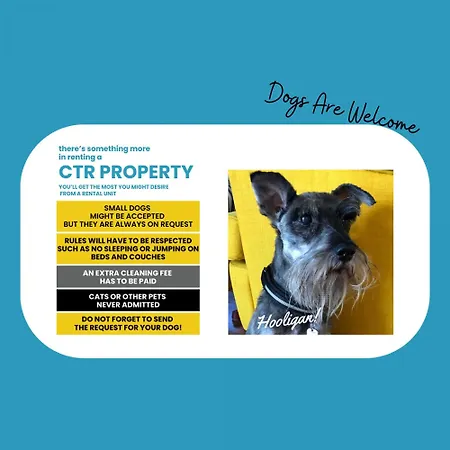 Il Giardino Di Ada Ground Floor With Ac And Patio * 몬테로소 알 마레