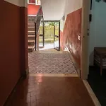 Il Giardino Di Ada Ground Floor With Ac And Patio * Monterosso al Mare
