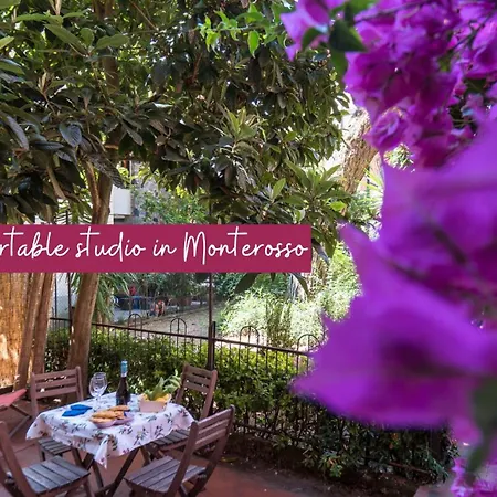 Il Giardino Di Ada Ground Floor With Ac And Patio
