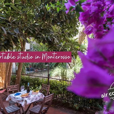 Il Giardino Di Ada Ground Floor With Ac And Patio Apartment Monterosso al Mare
